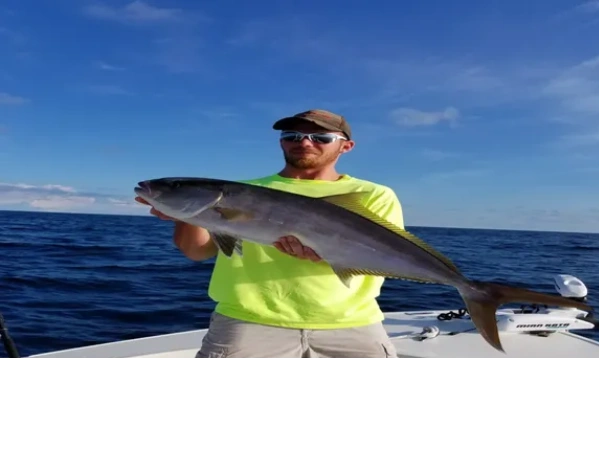 man holding a amberjack caught on deep sea fishing trip