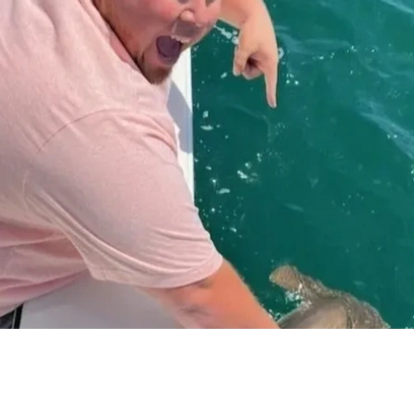 guy holding hammerhead shark 