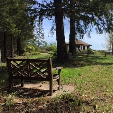 View of chapel from bench behind meditation garden.