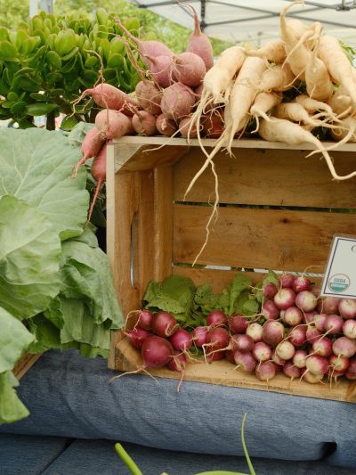 Fresh assorted radishes and leafy greens at a market stall.
