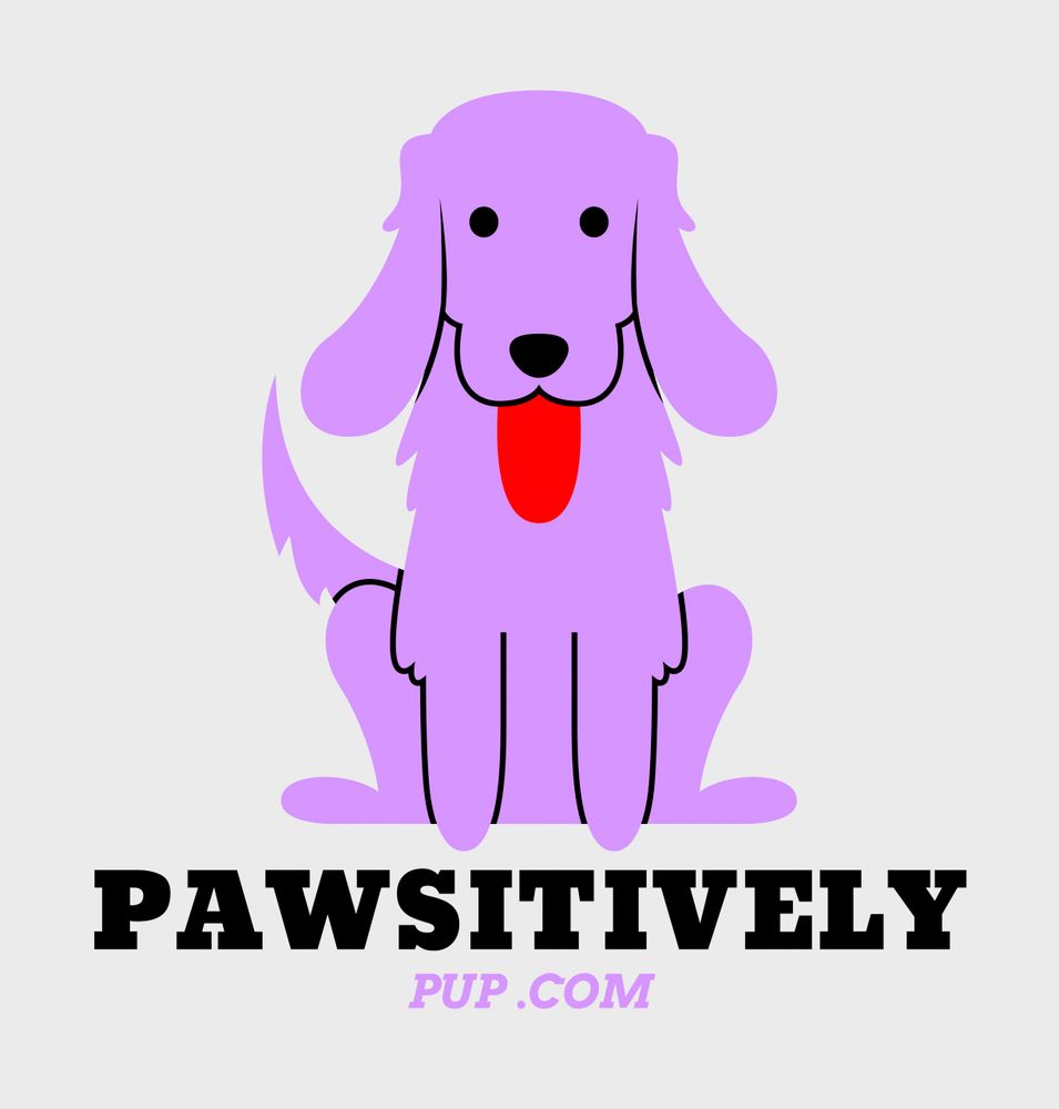 Pawsitively Pup Dog Boutique Dog Supplies Dog Shop