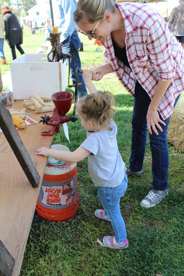 Louisa County Historical Society Historic Site, Genealogy Research