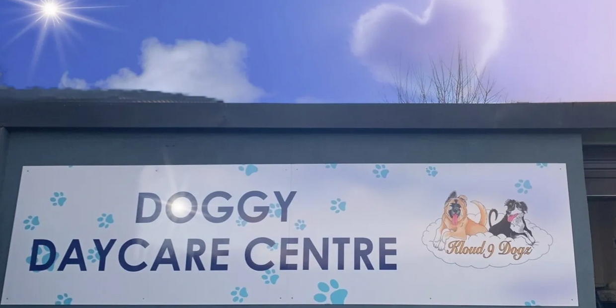 Doggy Daycare Centre in Sligo