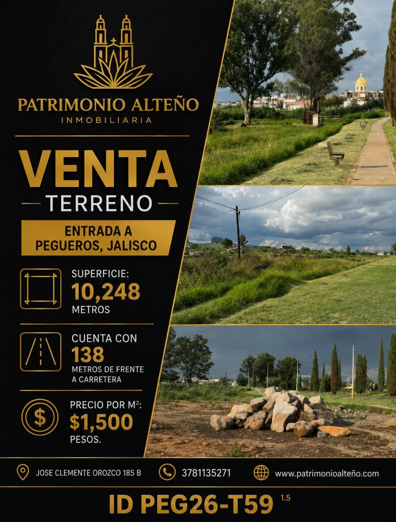 PEG26-T59.png