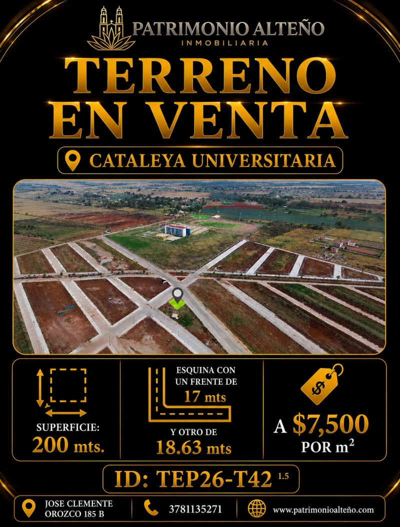TEP26-T42.png