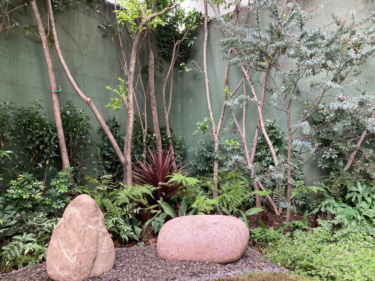 Jardineria, jardines, piedras, helecho, acanto, trandescantia, sistema de riego