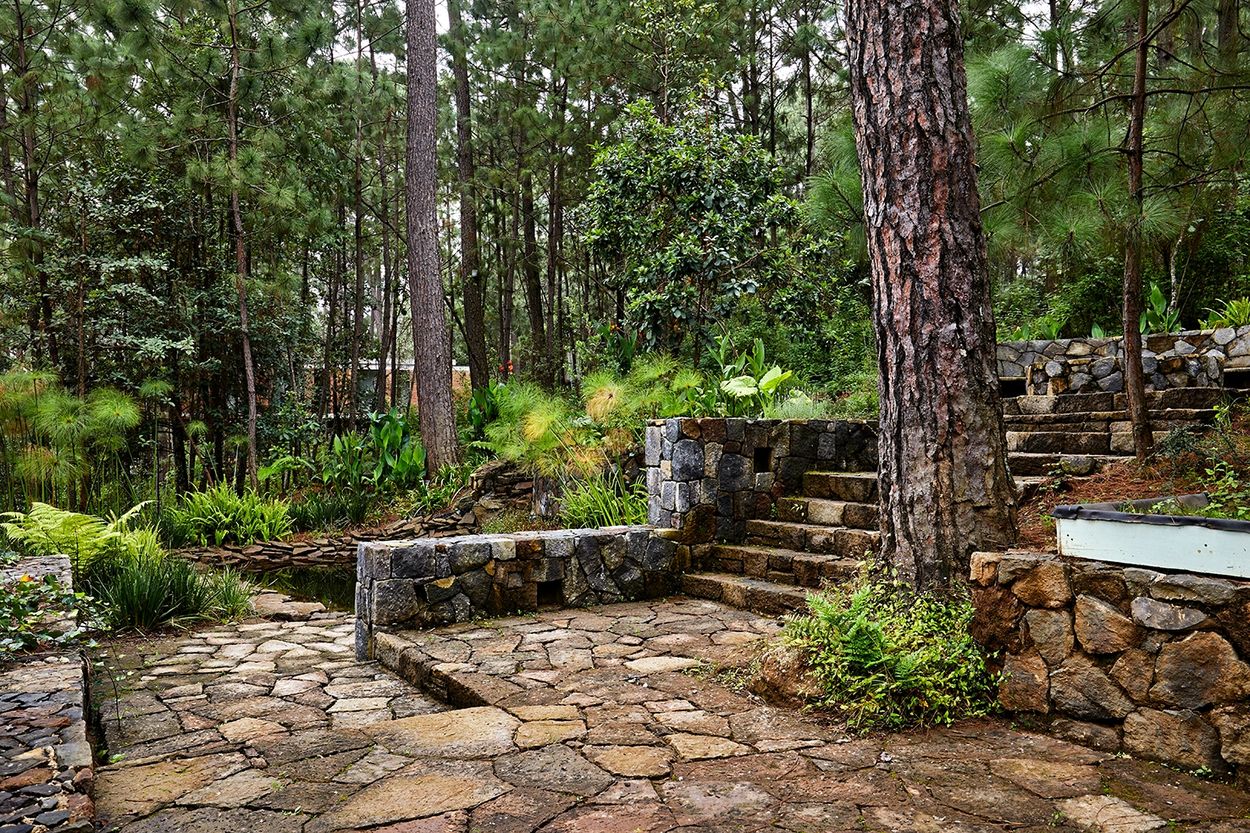 Estanques, jardines valle de bravo, terraza, landscaping, arquitectura de paisaje, paisajismo