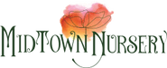 Midtown Nursery