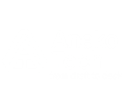 Aneko Tech