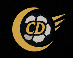 Luna Soccer Technique Academy 