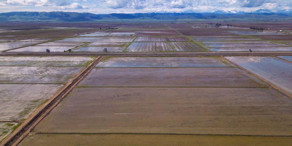 Vast flooded agricultural fields with mountains in the distance under a cloudy sky.