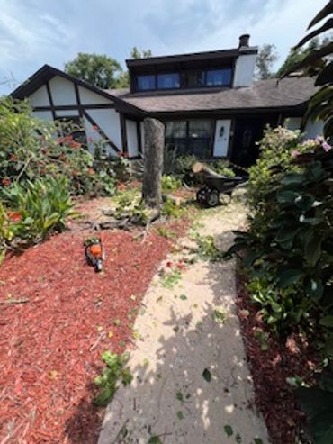 Tree Removal Services