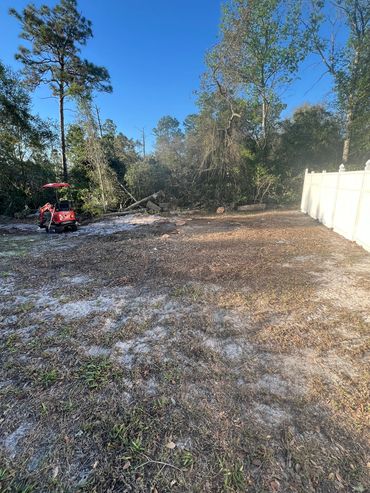 Tree Removal Deltona/ Deland / DeBary/ Daytona/ New Smyrna/ Orange City 