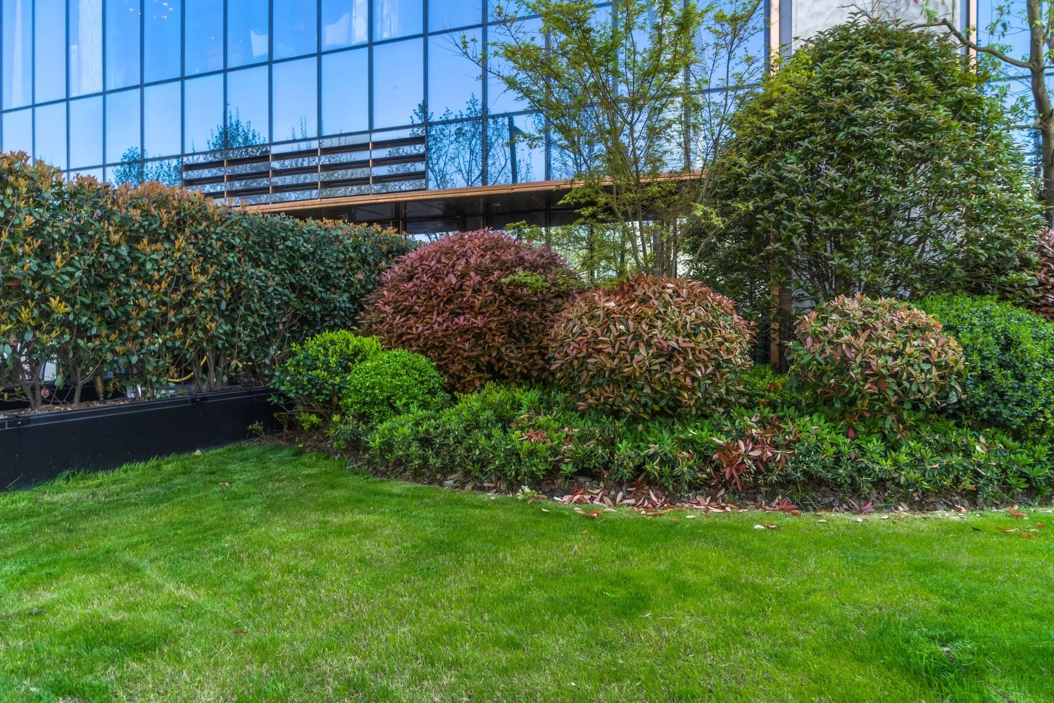 Commercial Landscaping