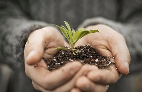 Growth and healing is our passion