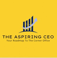 The Aspiring CEO