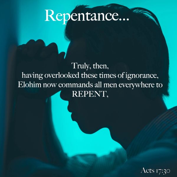 repentance, sorry, ignorance, Elohim, commands, men, everyone, Acts, Yahuah, God, Yahusha, Jesus