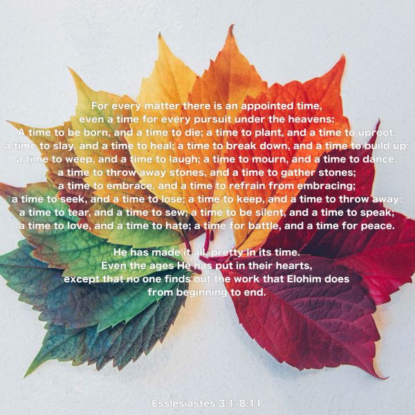 Ecclesiastes, every matter, every season, appointed time, heavens, die, born, plant, Elohim, God, 