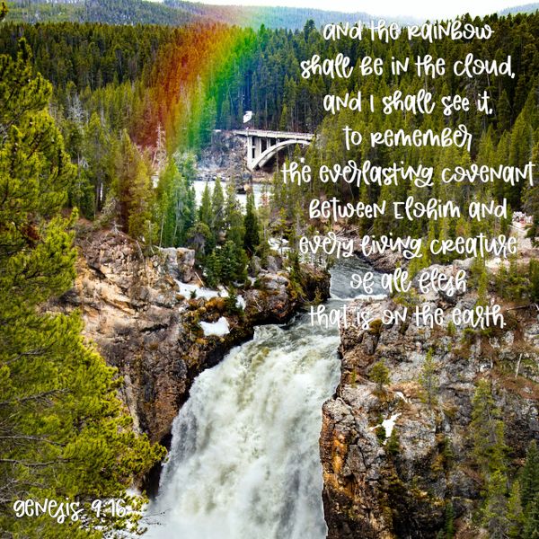 genesis, rainbow, true meaning, everlasting covenant, Elohim, earth, creature, flesh, cloud,remember