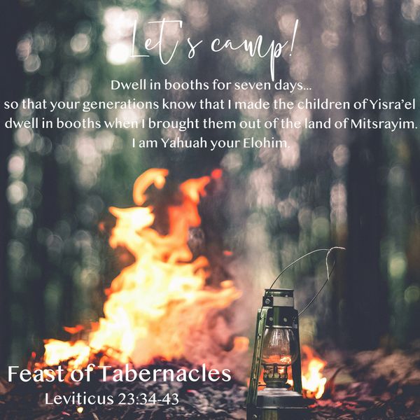 Sukkot, feast of tabernacles, fall feast, Elohim, Yahuah, camp, booths, tents, Israel, Leviticus, 