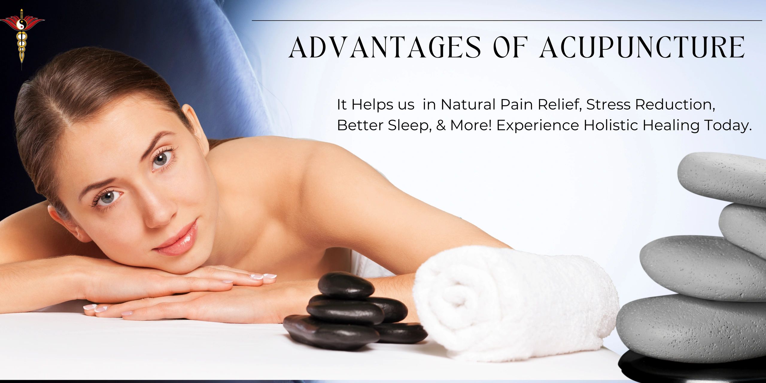 Introduction to the Practice of Acupuncture: