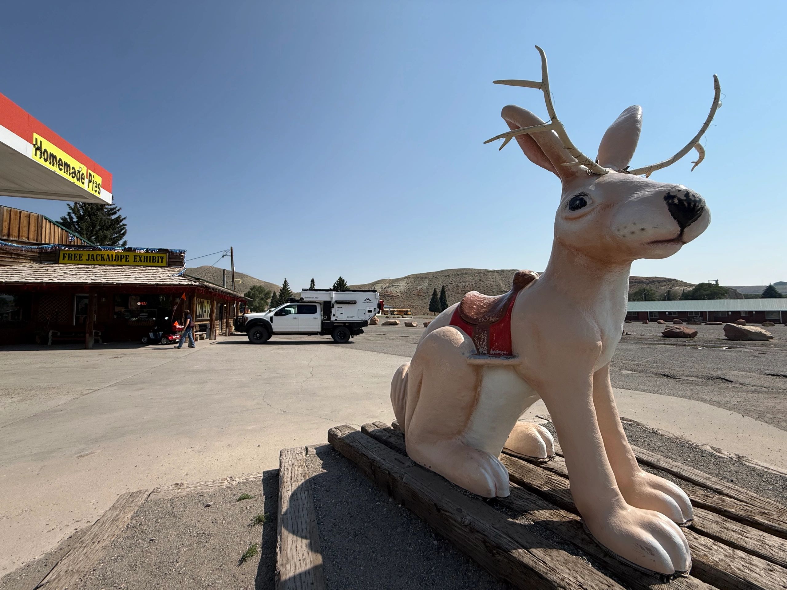 Dubois Wyoming Outdoor Jackalope. Inauthentic.