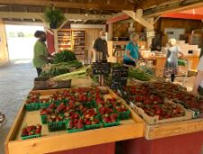 People shopping at a farmers market with fresh strawberries and greens.