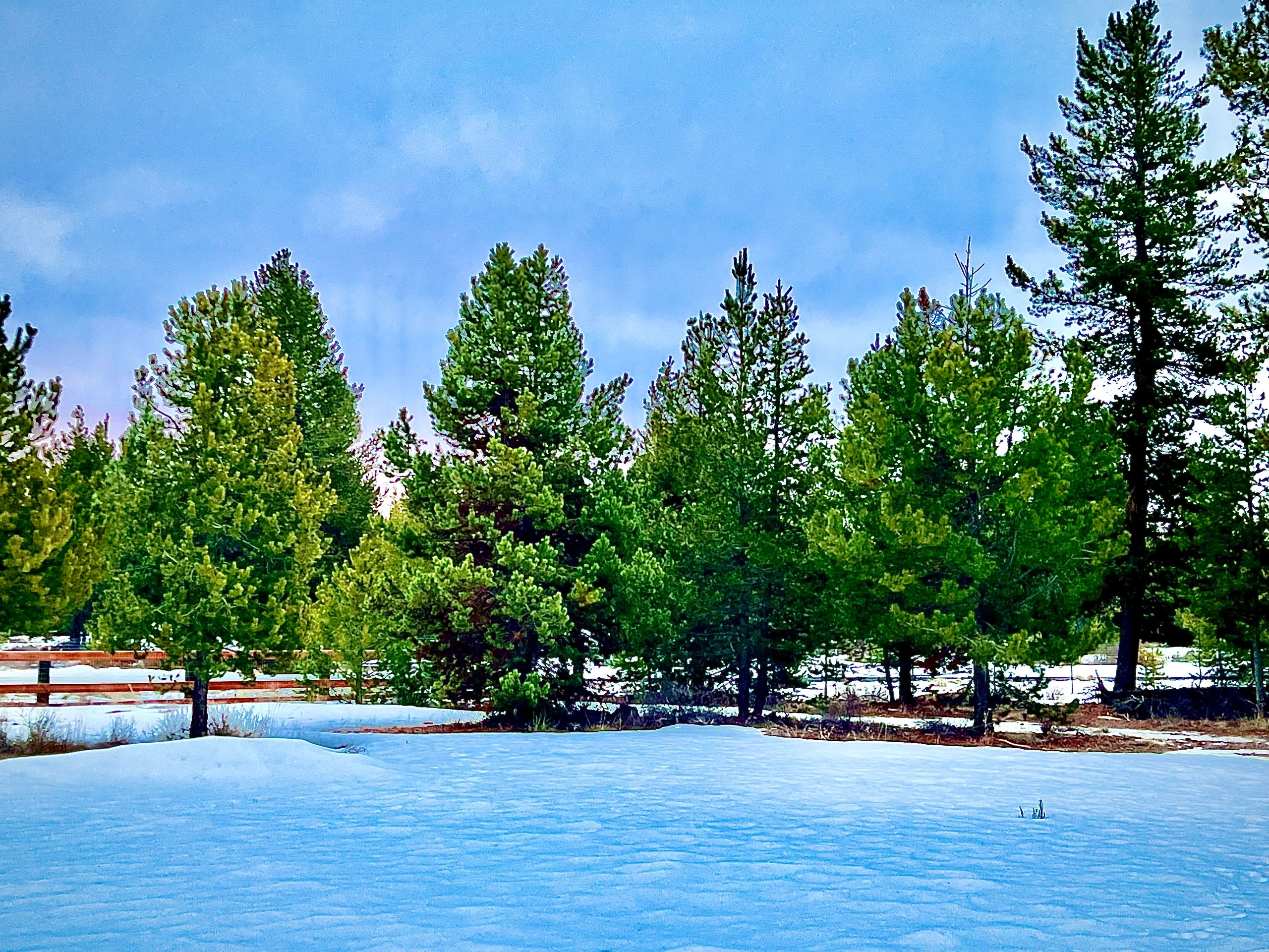 Estate Appraiser, Appraisals of Personal Property TRUST Appraisal