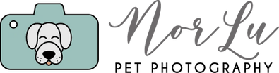 Geelong's Specialist Pet Photographer!