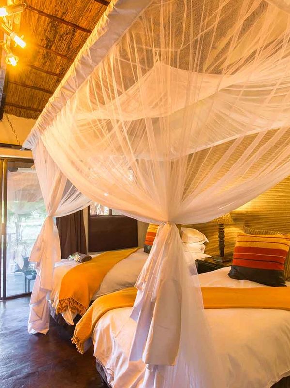Standard Room - beds