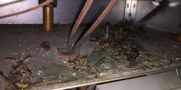 Internal view of a gas boiler before servicing, Catchment space contains dirt dust and flys