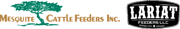 Mesquite Cattle Feeders Inc