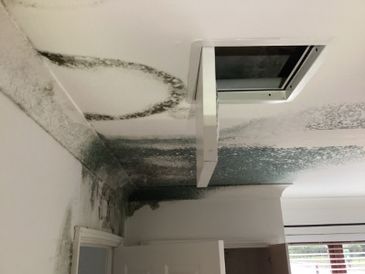 Ceiling and wall with extensive mold growth and an open vent.
