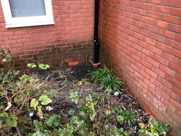 Corner of a brick house with a garden bed and a drainage pipe.