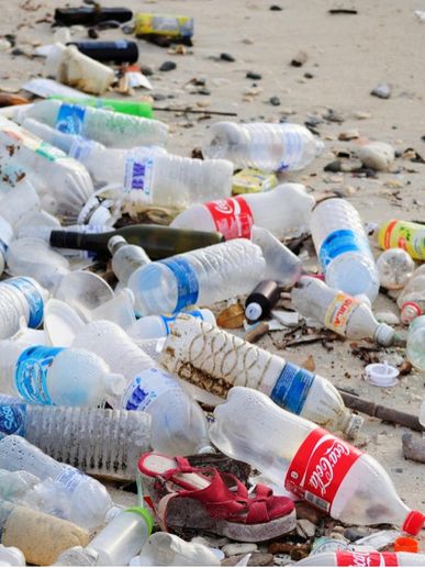 Single use plastics 