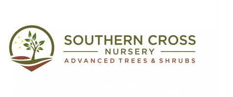 Southern Cross Nursery