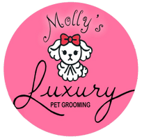 Luxury Pet Boutique & Grooming