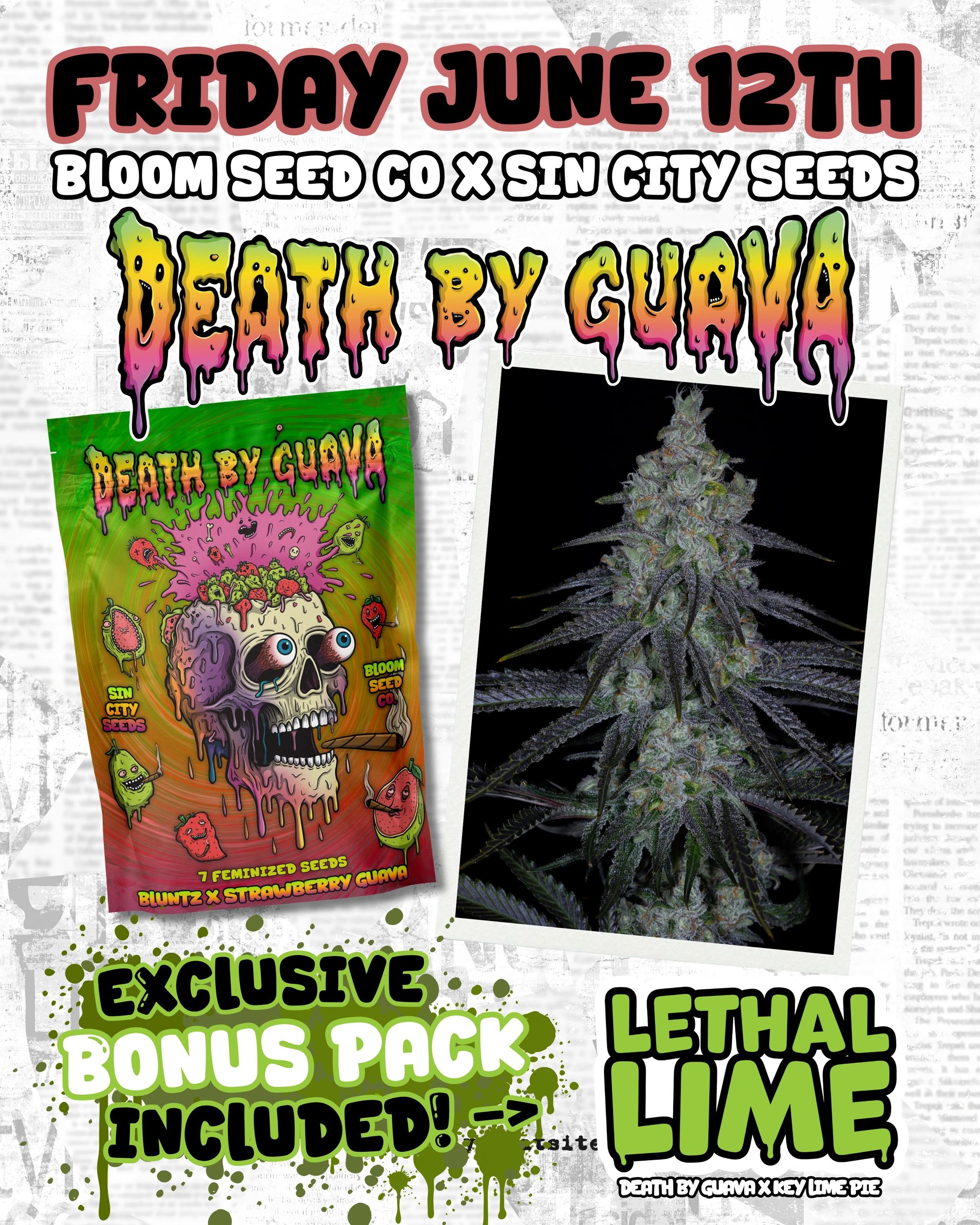 Logo de Sin City Seeds