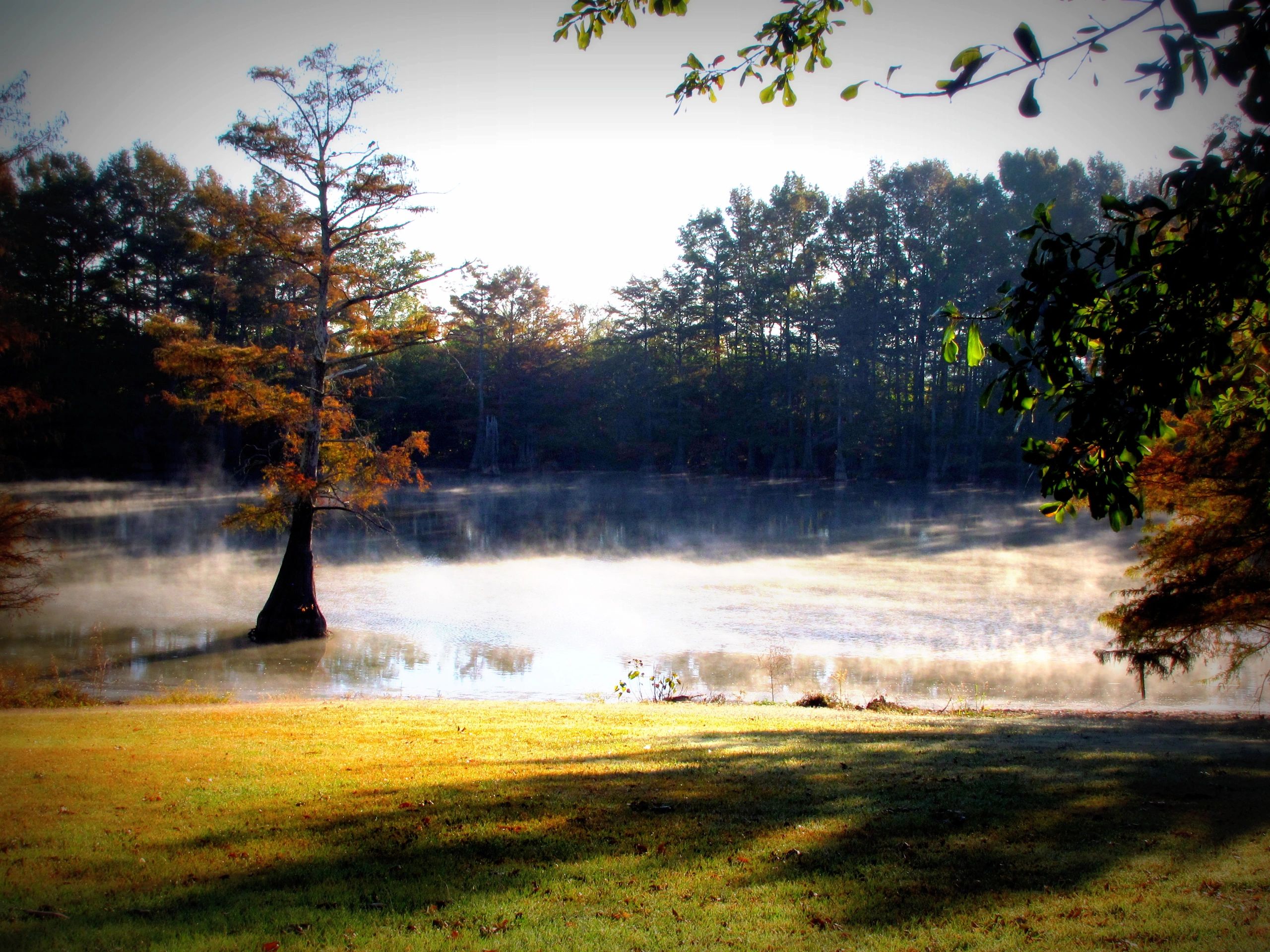 Morning mist flowing over Roebuck Lake, Lakeshore Road, Itta Bena, MS 