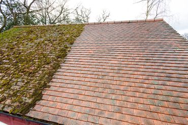 Roof Tile Cleaning