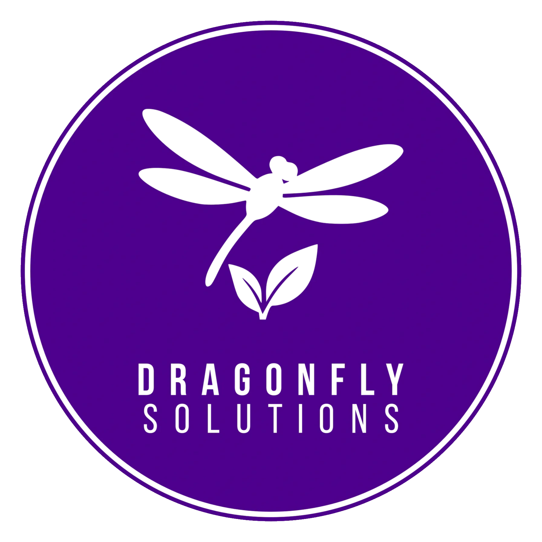 Logo of Dragonfly Solutions with a purple circle and black dragonfly and leaves.