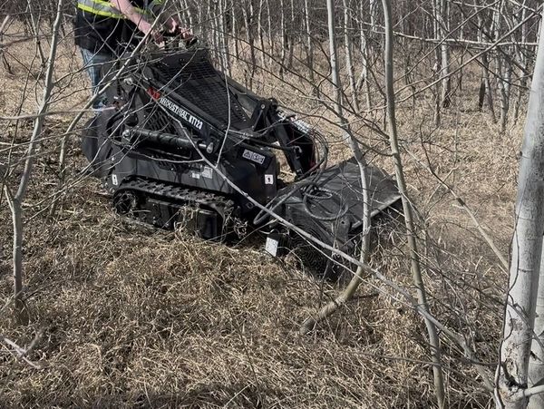 Person operating a compact tracked mulcher in a dry wooded area.
