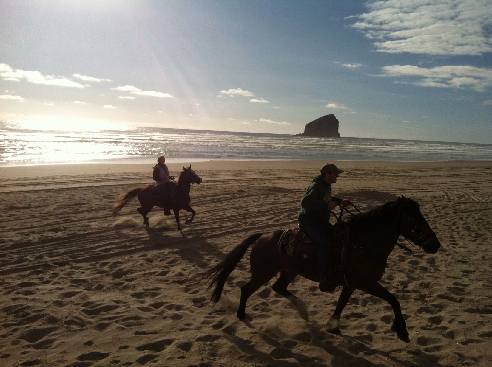 Discover Green Acres Beach & Trail Rides: A Perfect Family Adventure