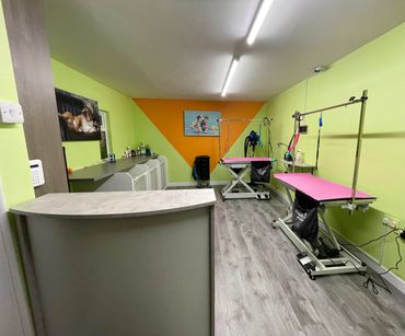 Scruffy 2 Fluffy Grooming Salon