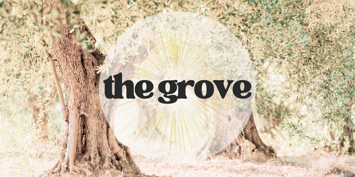 Sunlit grove with olive trees and a glowing 'the grove' text overlay.