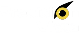Precision Vista LLC