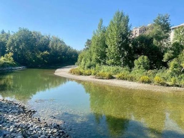 A calm river with clear water flowing beside green trees under a blue sky.
