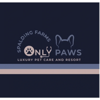 Bringing over 10 years of experience!