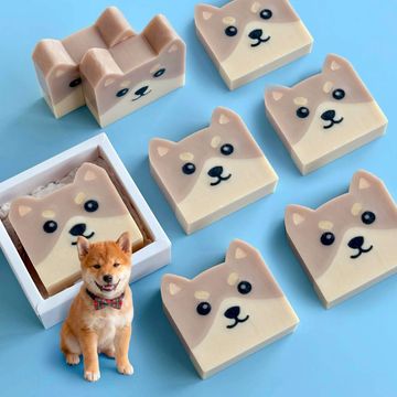 Adorable collection of Shiba Inu handmade soaps and a real puppy on a light blue background. Soaps i