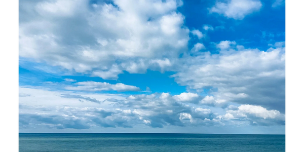 Blue Zone Mind & Body Philosophy 